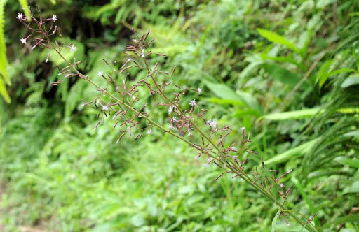 DSC_0187.JPG