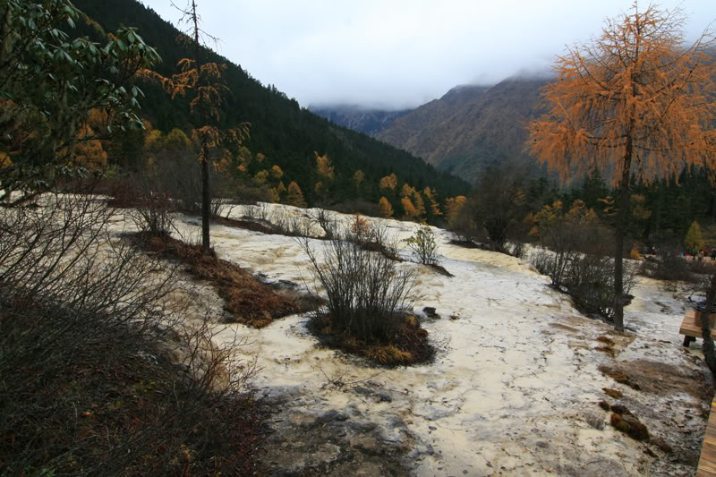 hoanglong153.jpg