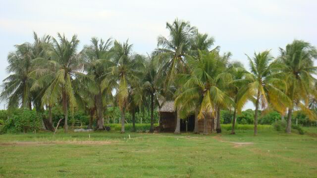 DSC06951.jpg