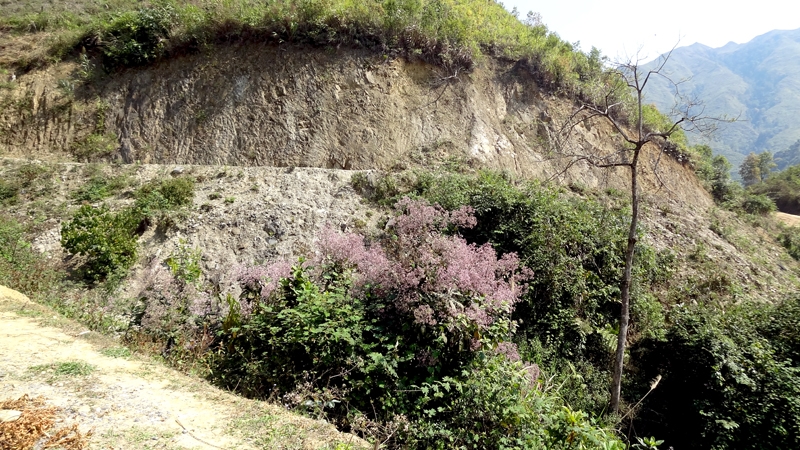 DSC09283_zps24125075.jpg