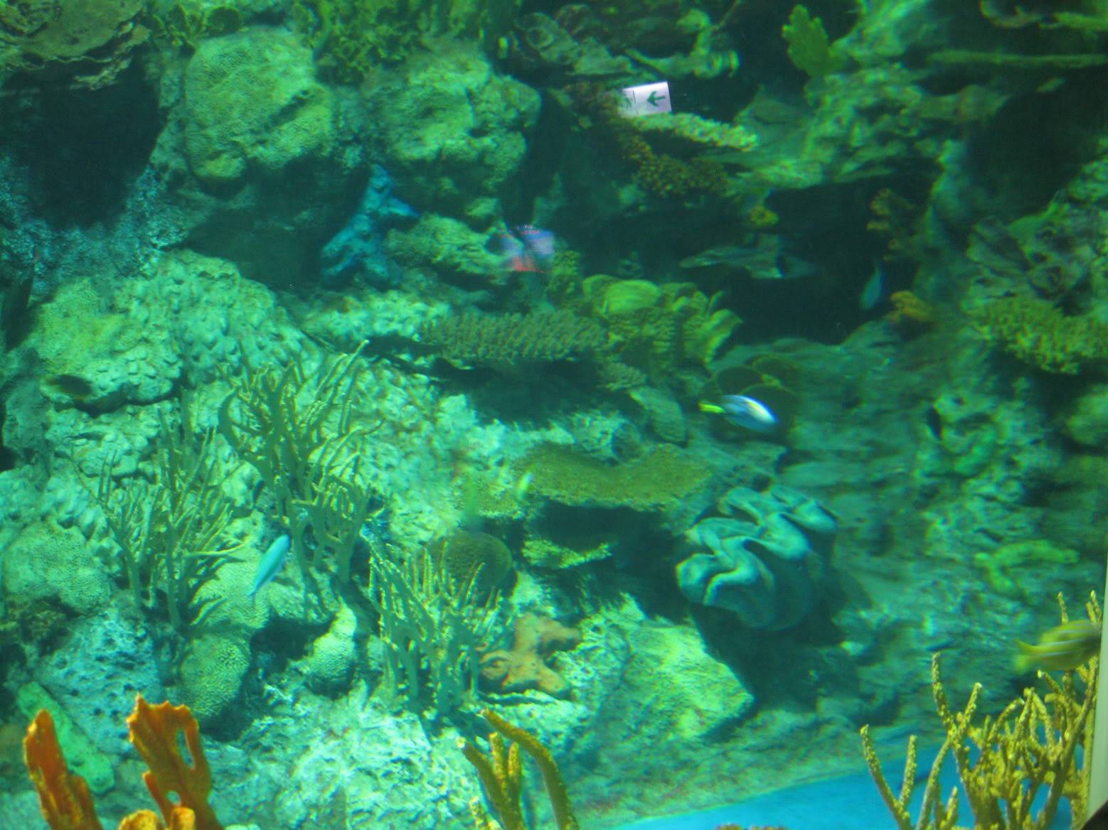 IMG_0398.jpg