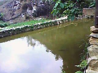 IMG0096A.jpg