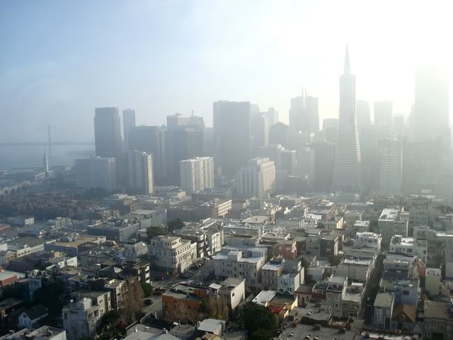 DSC07705.jpg