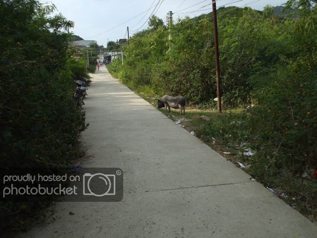 DSCF4667.jpg