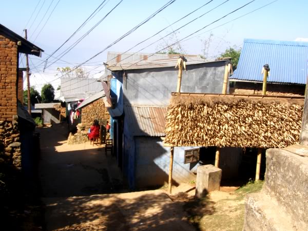 PB091145.jpg
