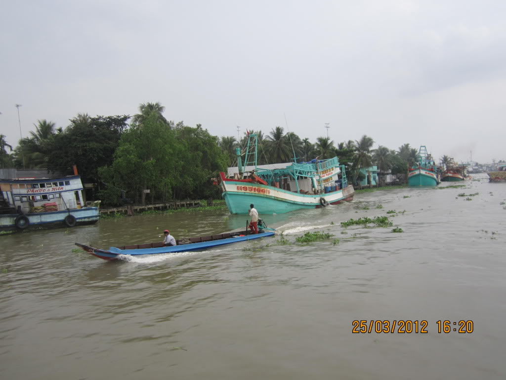 IMG_4047.jpg