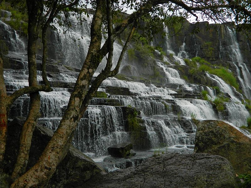 DSCN1869.jpg