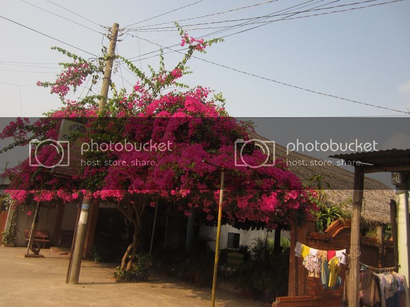 IMG_0438_zps63b93d9b.jpg