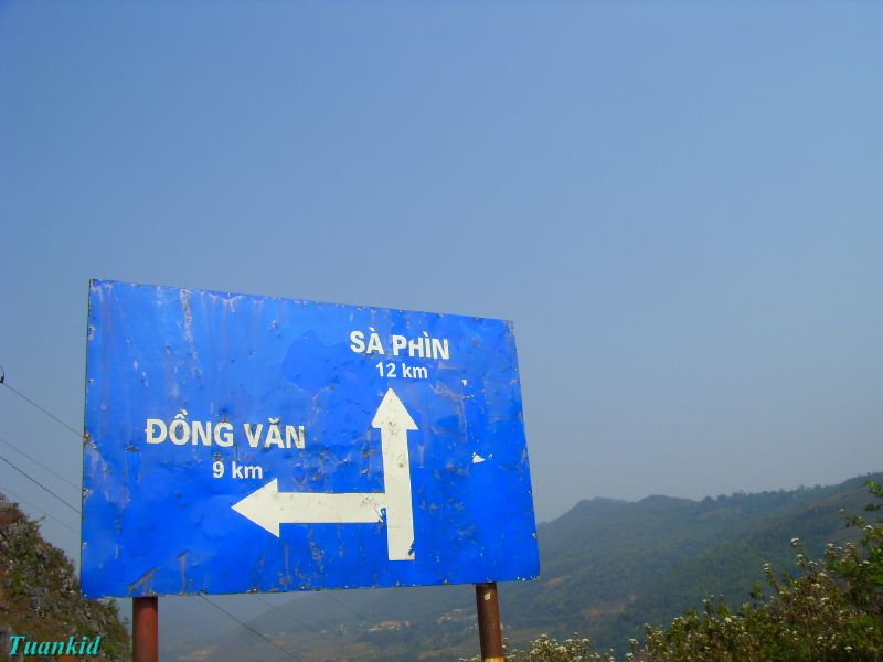 SDC16409.jpg