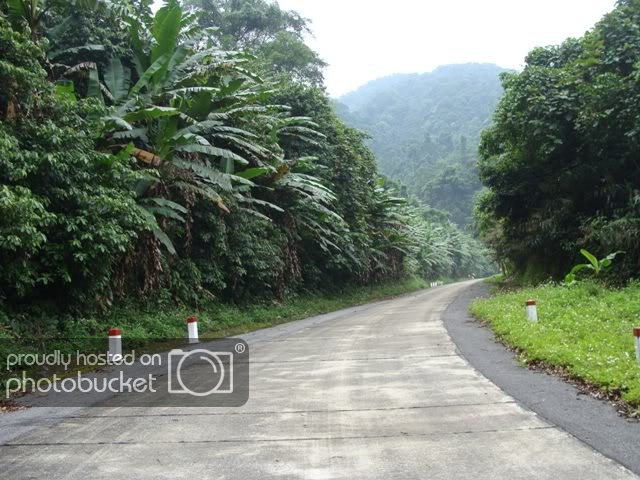 DSC08754.jpg