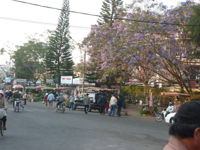 P1070746.jpg