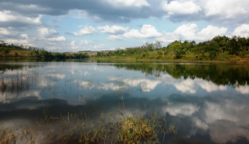 P1010044.jpg