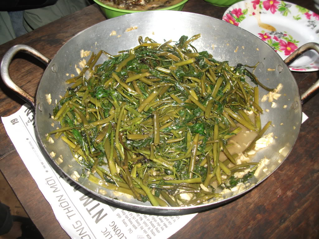 DSCF5910.jpg