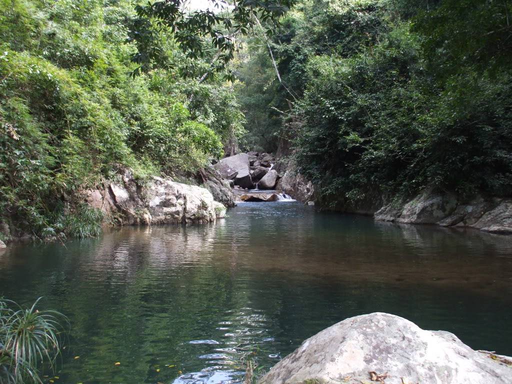 DSCF42491.jpg