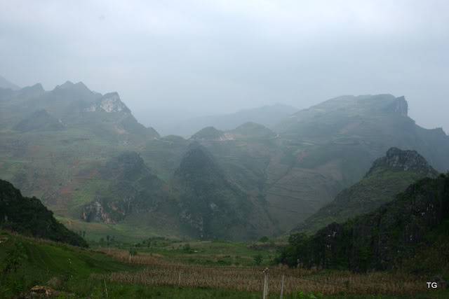 IMG_5742.jpg