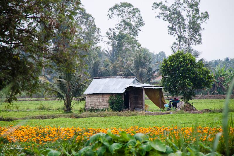 BenTre-7062.jpg