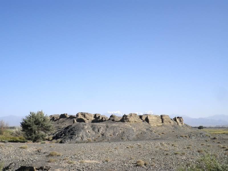 P9011577.jpg