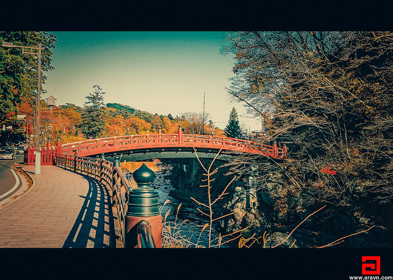 20756893201_4a85b51d1e_c.jpg
