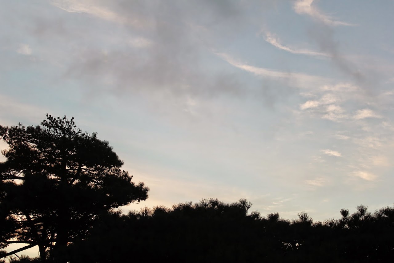 cVZoHIxx86QDfcSgsAGD0hjUdX_rPDBGw5-AasNGBVs=w1280-h854-no