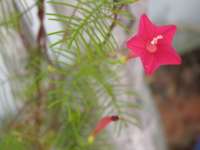 P7110284.jpg