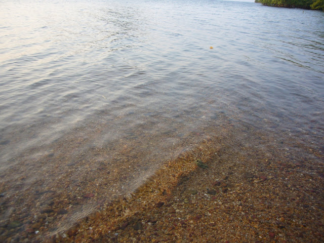 P1020158.JPG