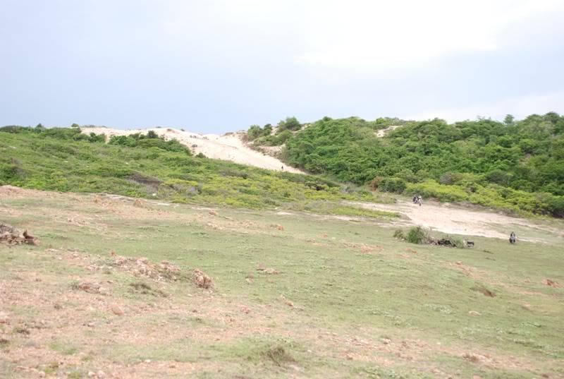 DSC_3041.jpg