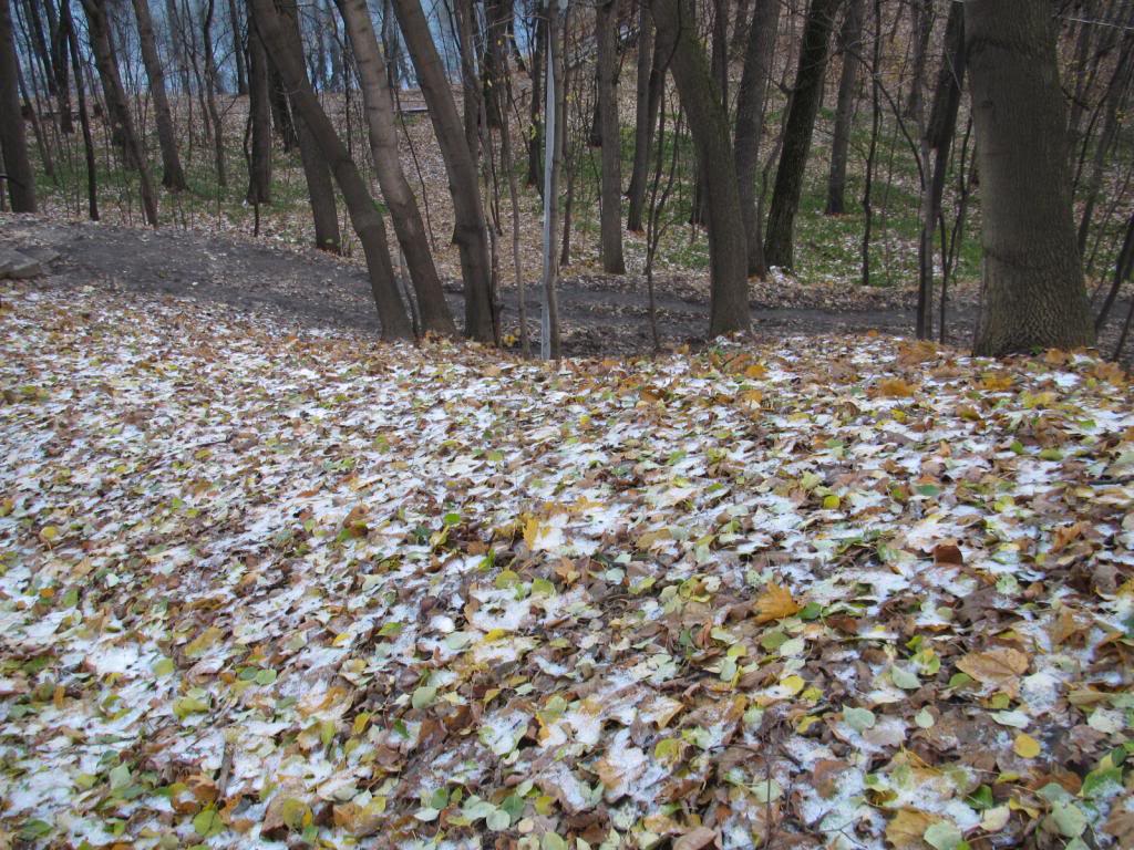 IMG_6594_zps74b83f18.jpg