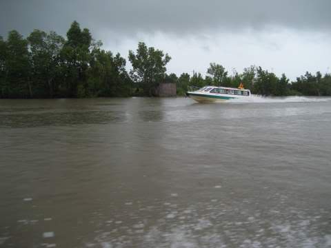 IMG_2250.jpg