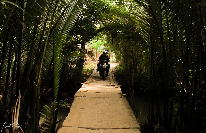 BenTre-7176.jpg