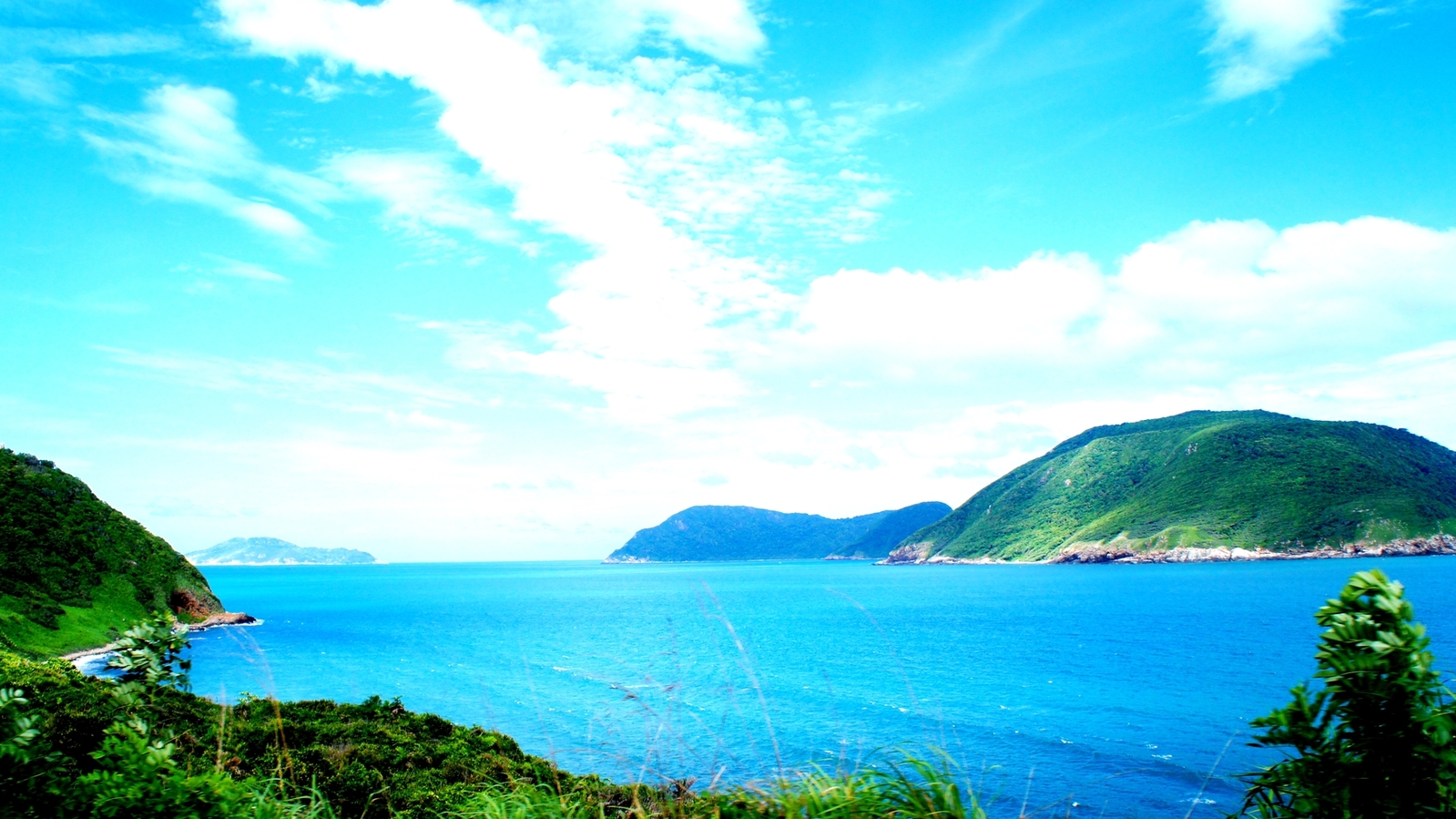 DSC04289.jpg