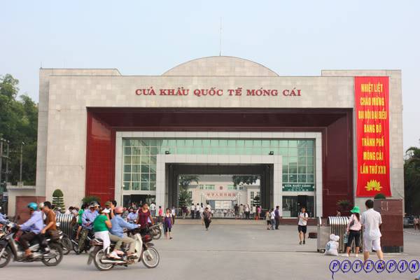 mongcai1.jpg