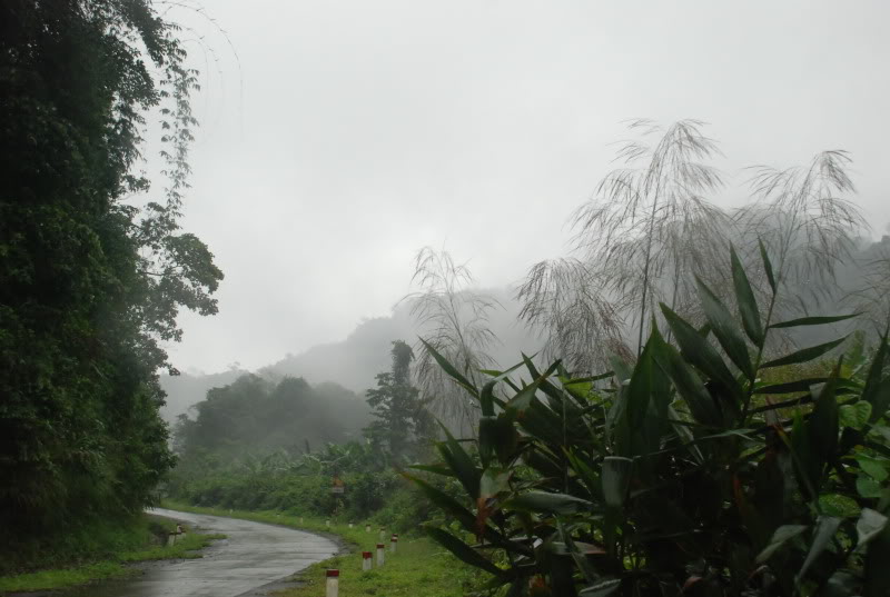 DSC_0294.jpg