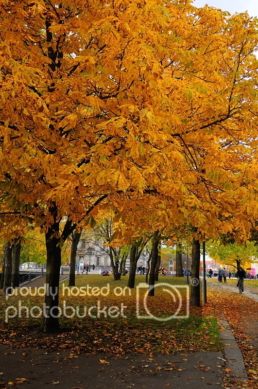 Duc-Berlin020.jpg
