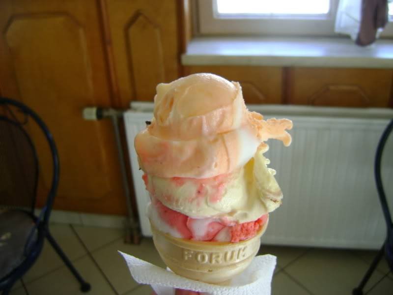 dsc05609.jpg