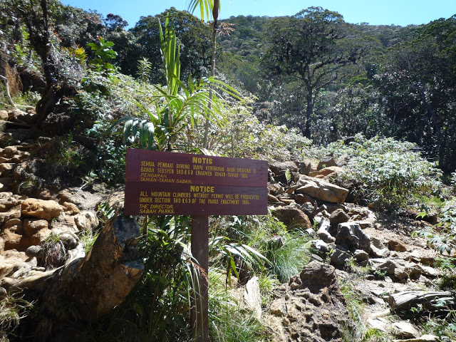 P1100374.JPG