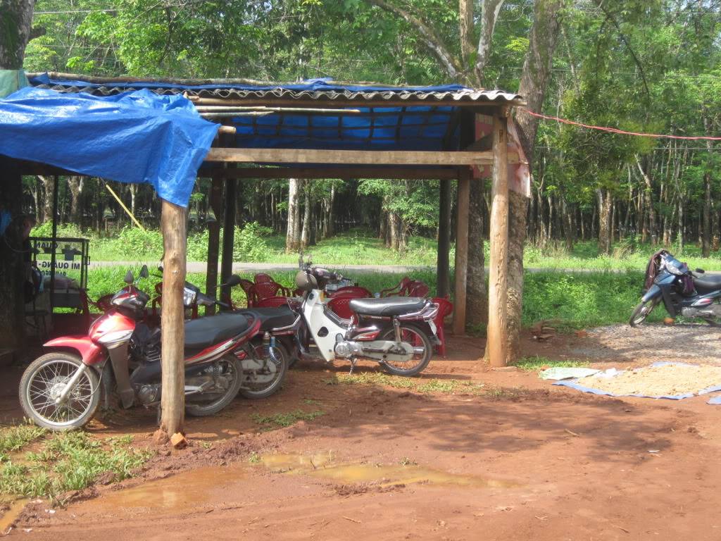 QL55QL28083.jpg