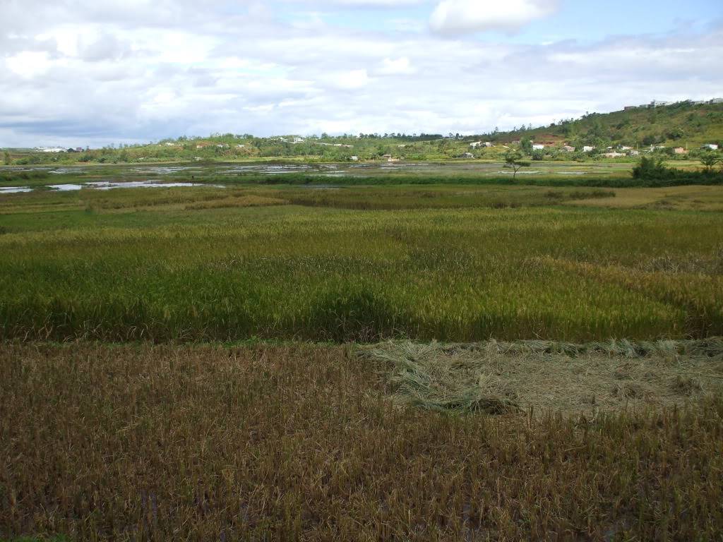 DSCF3409.jpg