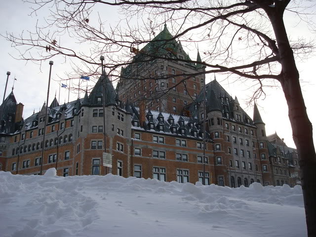 DSC06223.jpg