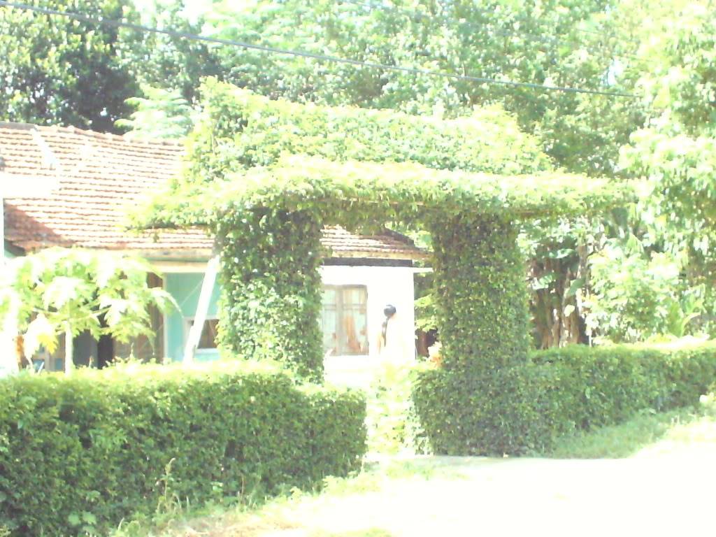 PICT0448.jpg