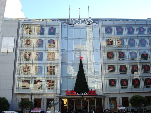 DSC07339.jpg