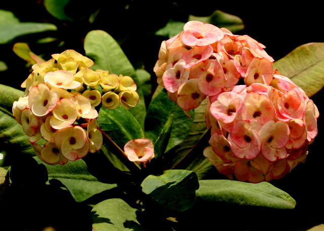 120479af095d7832.jpg