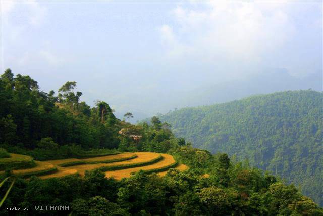 Hgiang8.jpg