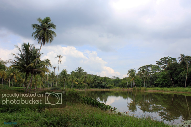 IMG_7714_zps8b497357.jpg