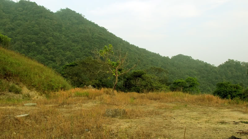 TayYenTu1010791.jpg