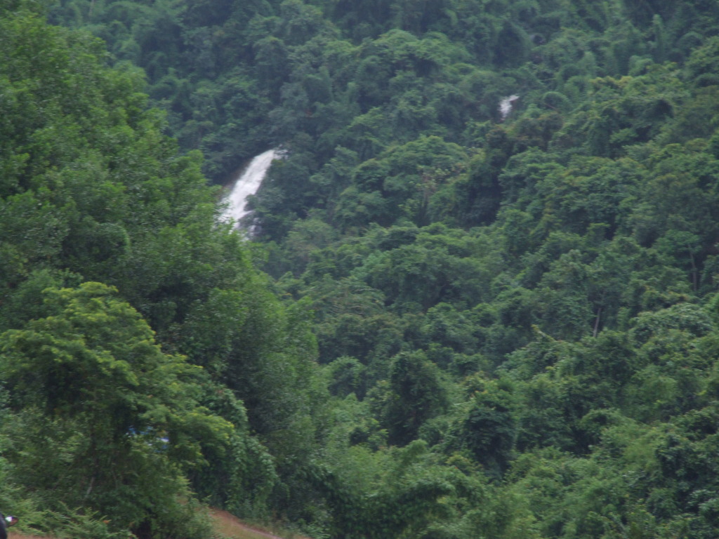 DSCF1574.jpg