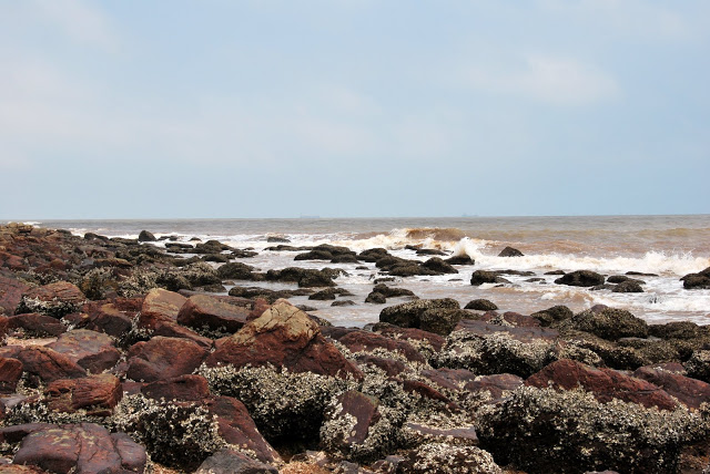 DSC_2894.JPG