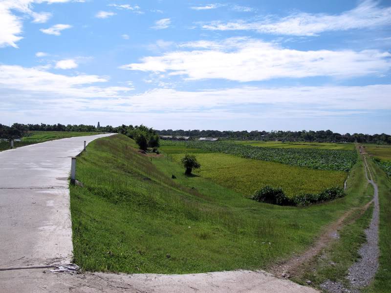 STA_7917.jpg