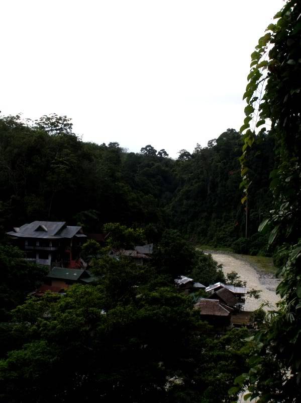 P7190400.jpg