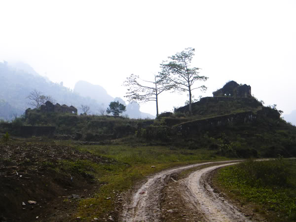 DSCN7242.jpg