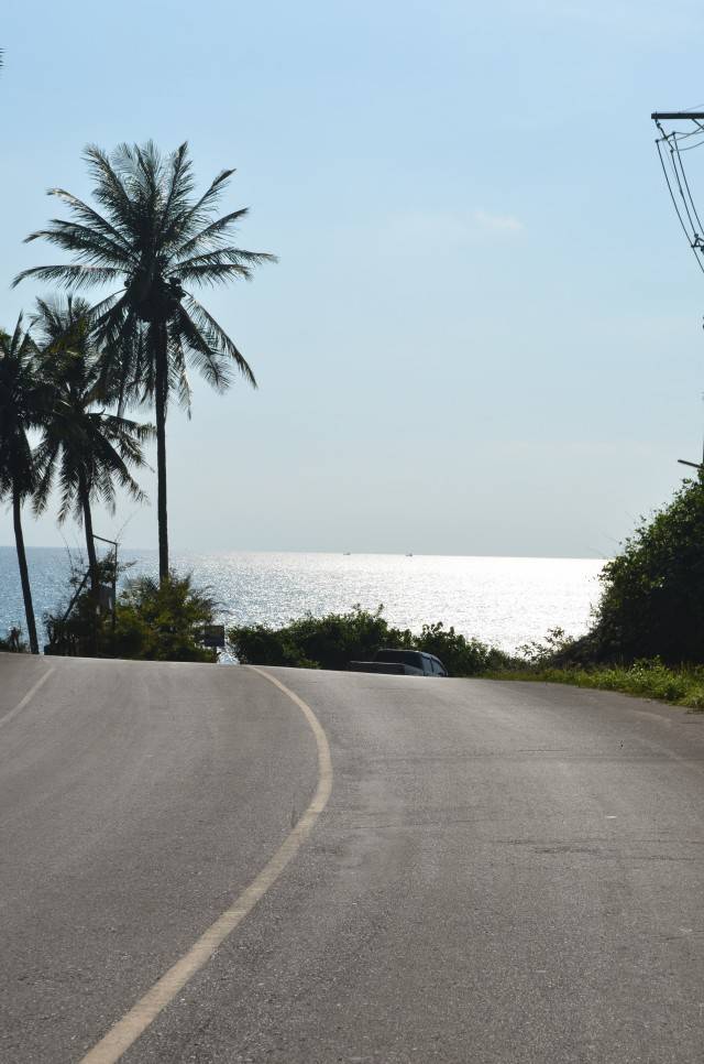 DSC_2295.jpg